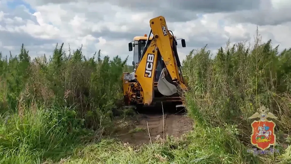 Снимок экрана 2025-09-08 в 08.33.39