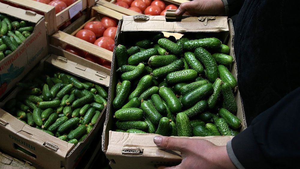 ѕродажа овощей и фруктов в оптово-продовольственном центре "‘уд сити"