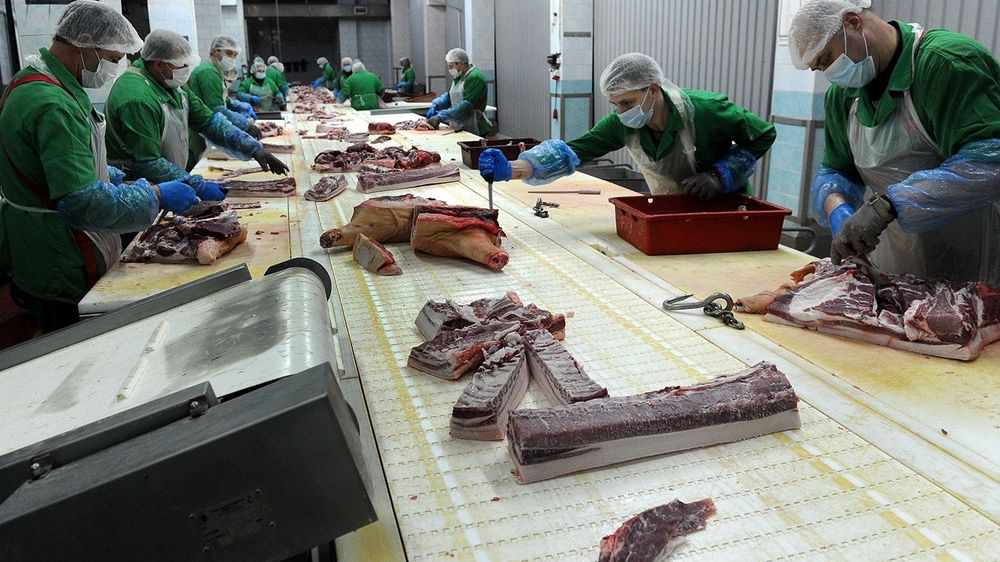 Minsk meat processing plant