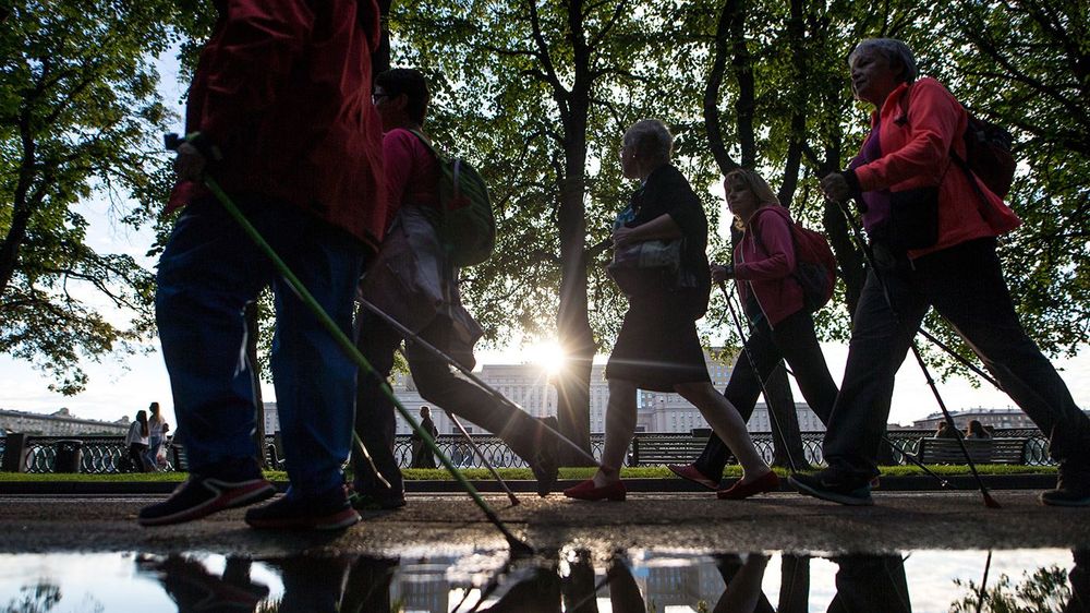 Nordic walking in Moscow