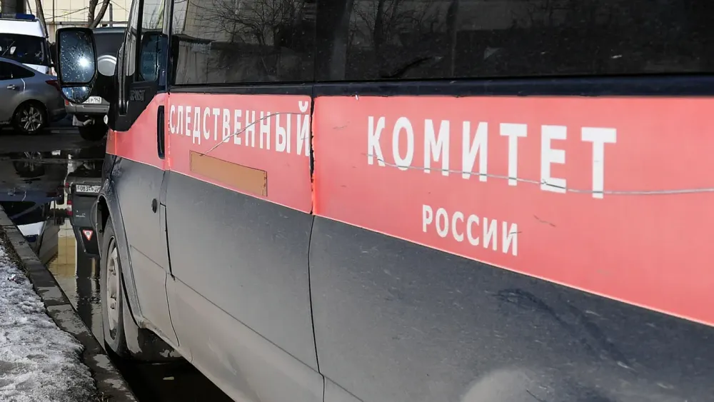 TASS_26050346