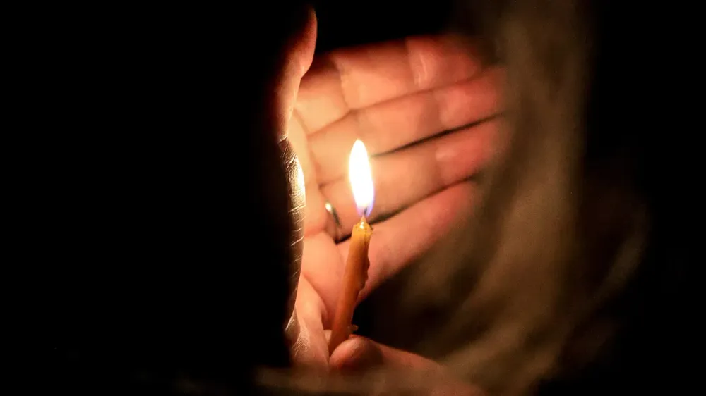TASS_27424498