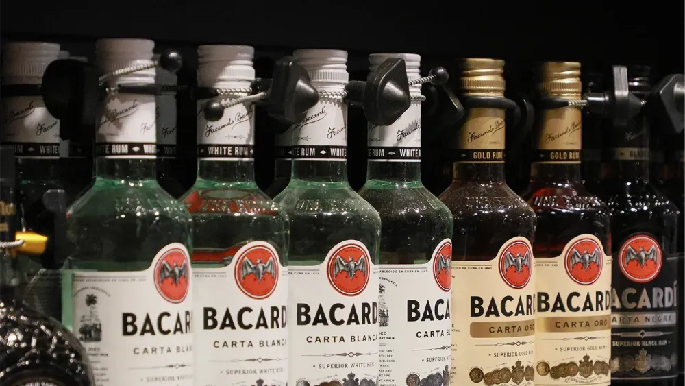 WSJ рассказала о росте бизнеса Bacardi в России. Компания собиралась уйти из страны