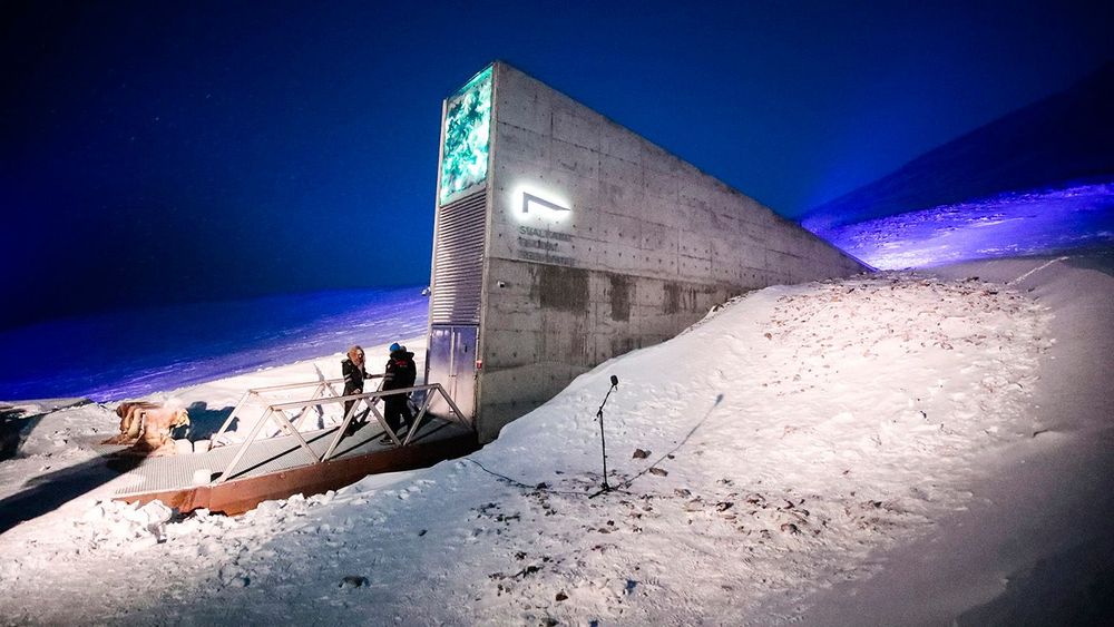 Erna Solberg on Svalbard