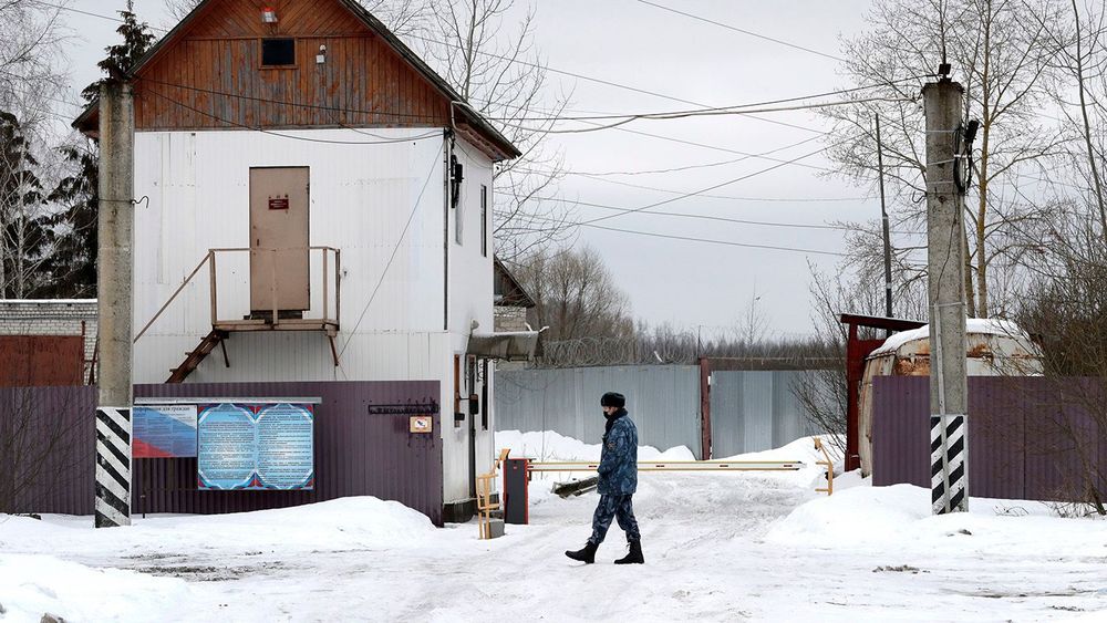 Penal colony No 2 in Russia's Vladimir Region where Alexei Navalny will supposedly serve time