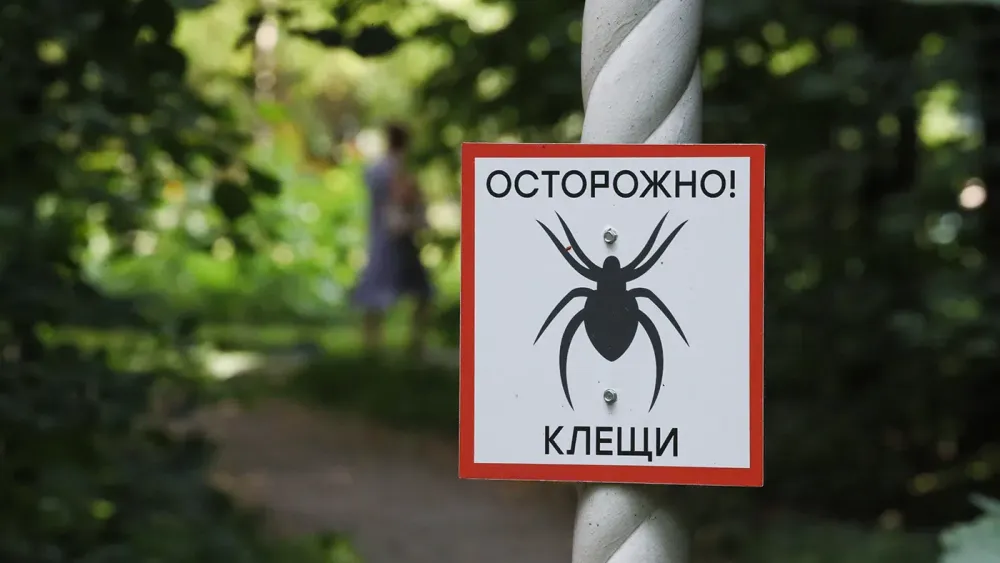 TASS_46968839
