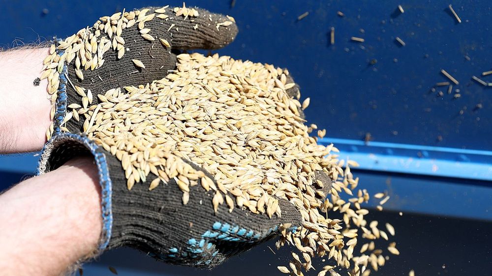 Sowing fodder crops in Sverdlovsk Region, Russia