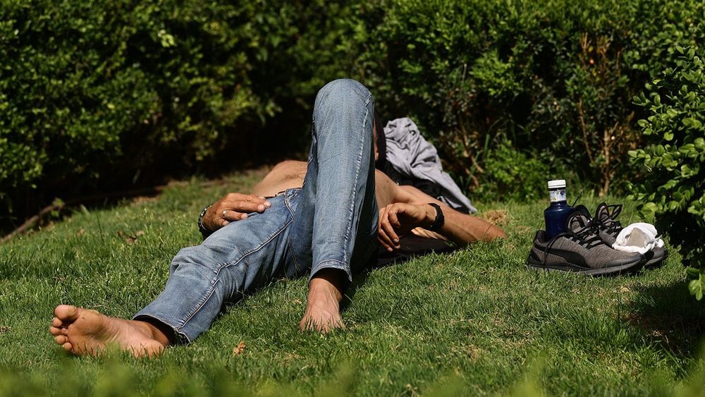 Risk of high temperatures of up to 40¬ЇC in the southern half of the Peninsula.