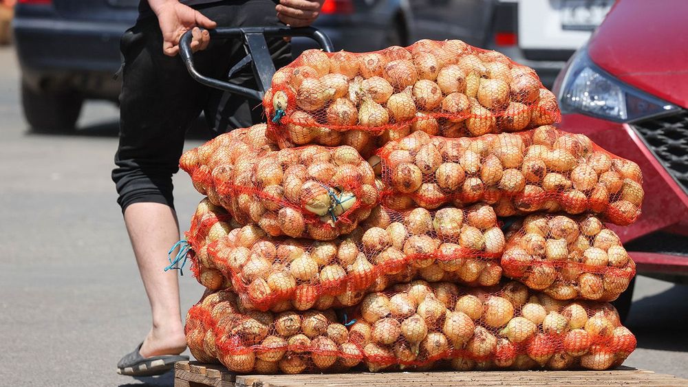 Farmers' market in Simferopol, Russia