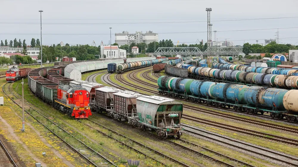 TASS_53380019