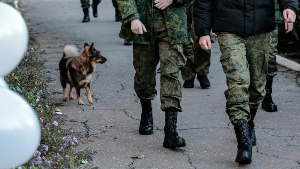TASS_55656031