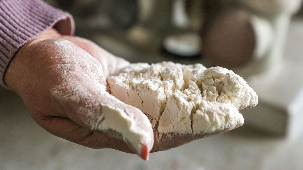 Simferopol grain processing plant in Crimea