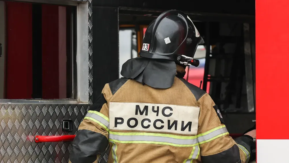 TASS_57900858