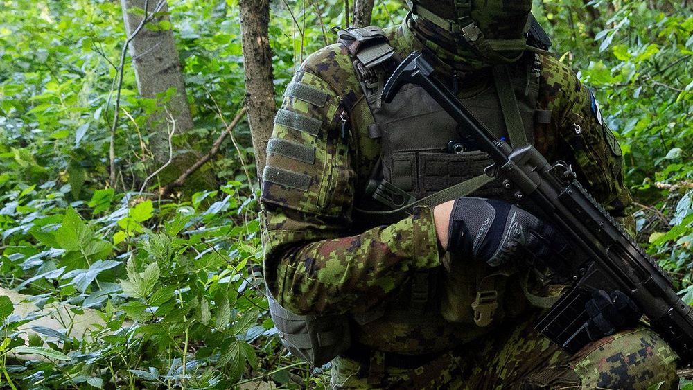 Учения резервистов "Ussisõnad" в Эстонии