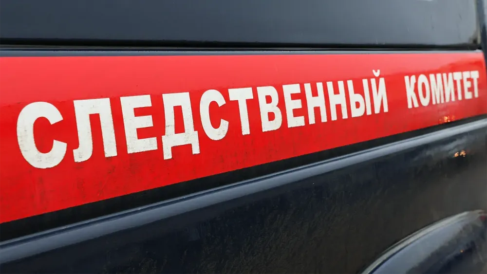 TASS_65786536 (1)