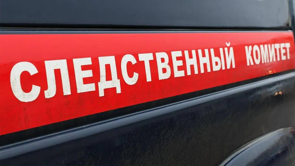 TASS_65786536
