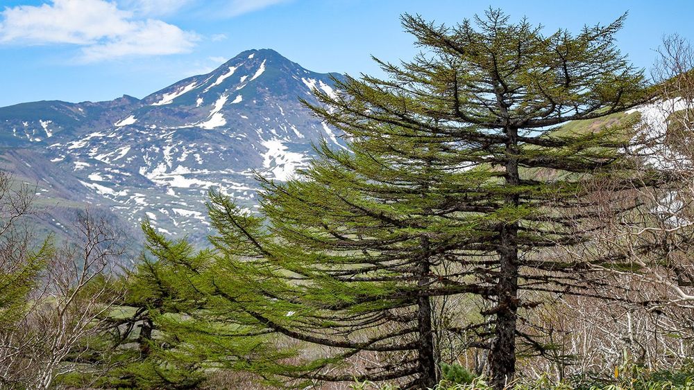 Sakhalin Region, Russia, in pictures