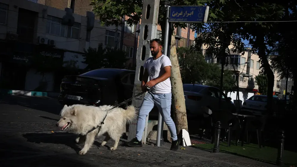TASS_71209091