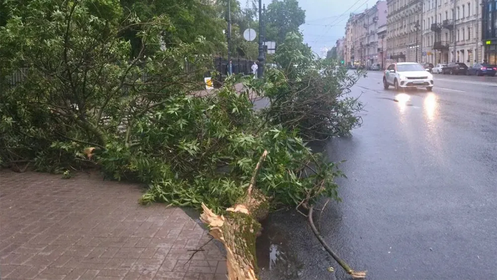 TASS_71664036