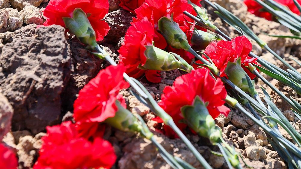 Remains of unidentified special military operation fighters reburied in Lugansk