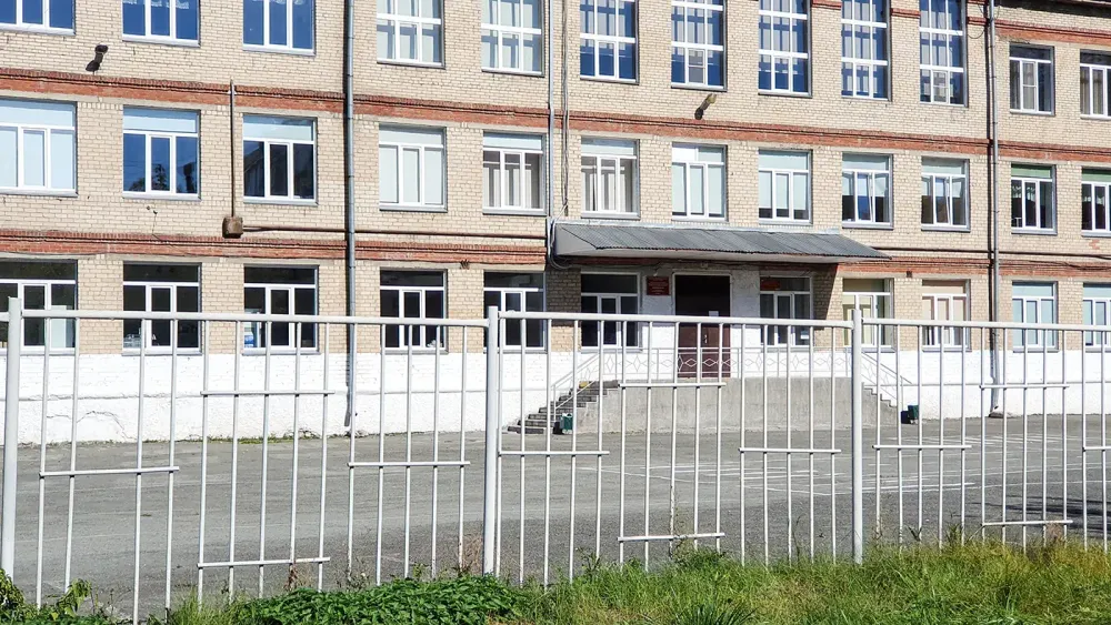 В Думе высказались о связи напавшего на школу в Челябинске с "суицидальной игрой"