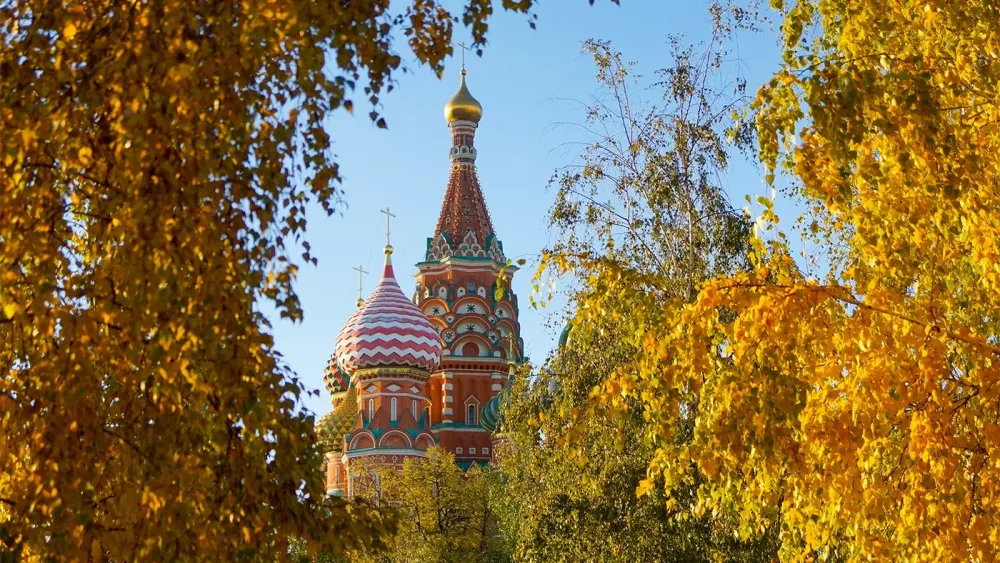 TASS_75261575