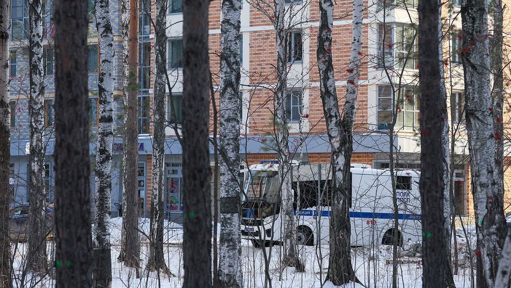 Tree felling in Yekaterinburg's park