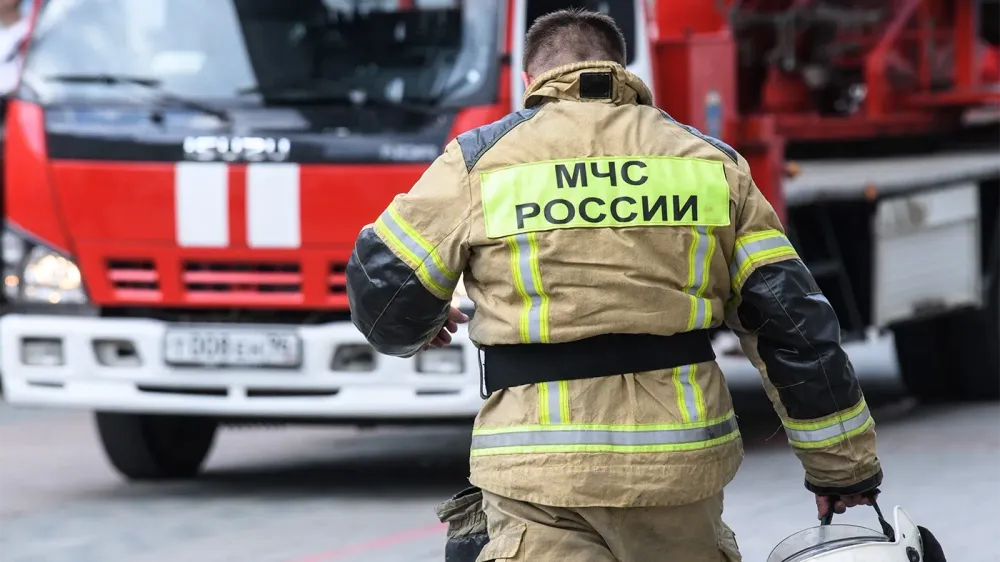 TASS_81987092