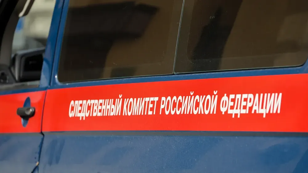 TASS_83678379