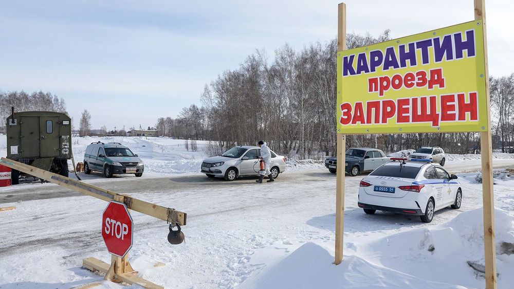 Emergency declared over cattle infections in Novosibirsk Region, Russia