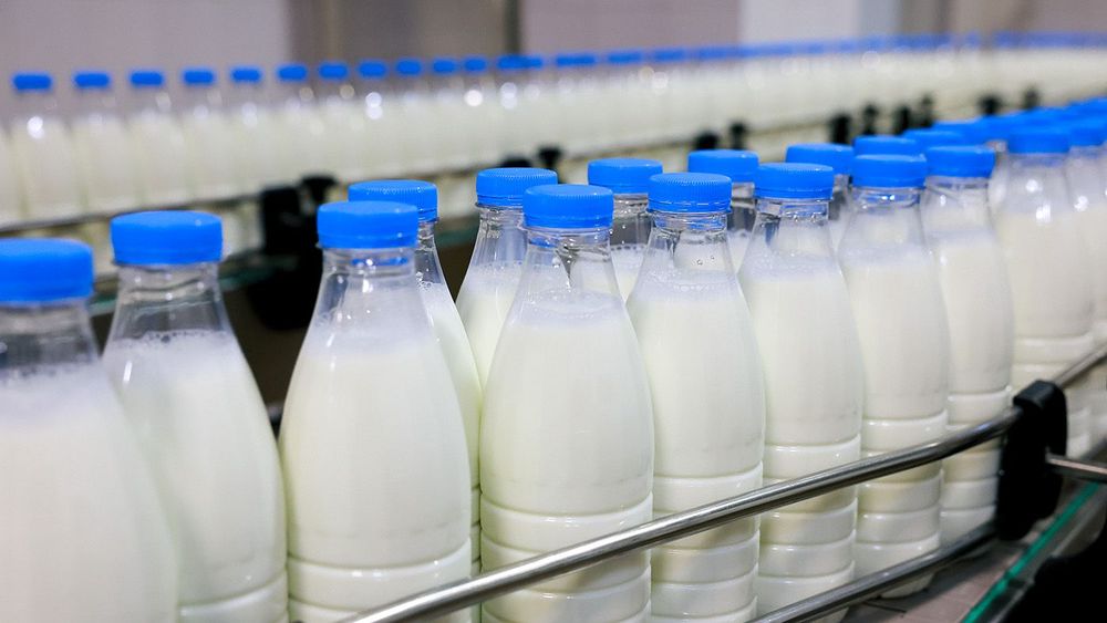 Novator dairy plant in Crimea
