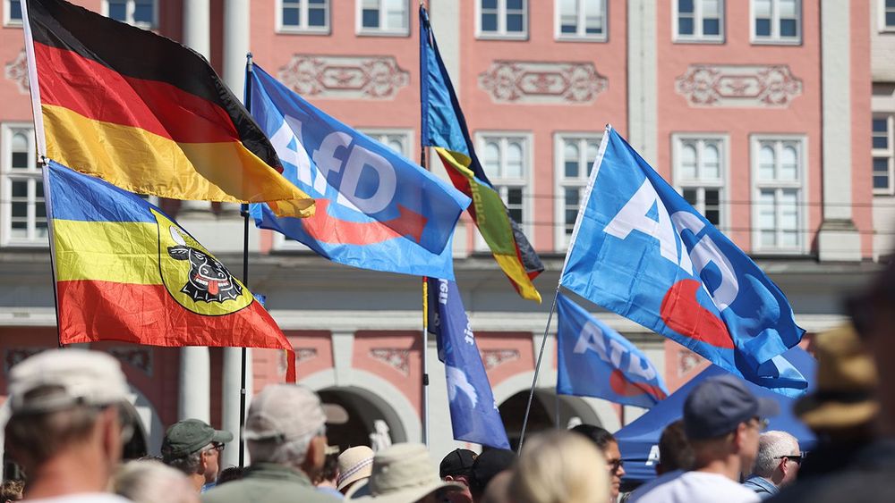 AfD Rally in Rostock