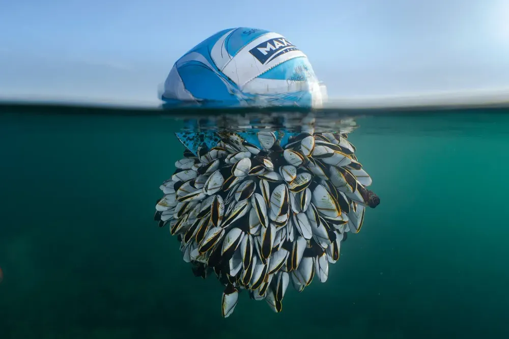 WINNER---Ocean-Drifter_RS