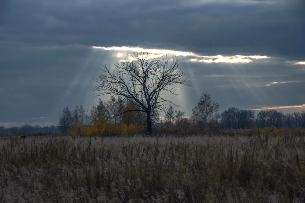 Зуев Георгий IMG_2430_tilda34088204