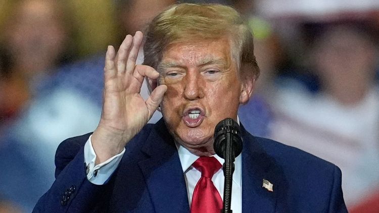 «Мне это понравилось»: Трамп похвалил сторонника после удара по протестующему