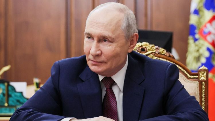 Ищешь аборт — получишь ссылки на помощь: Путин поручил проработать изменение поисковой выдачи