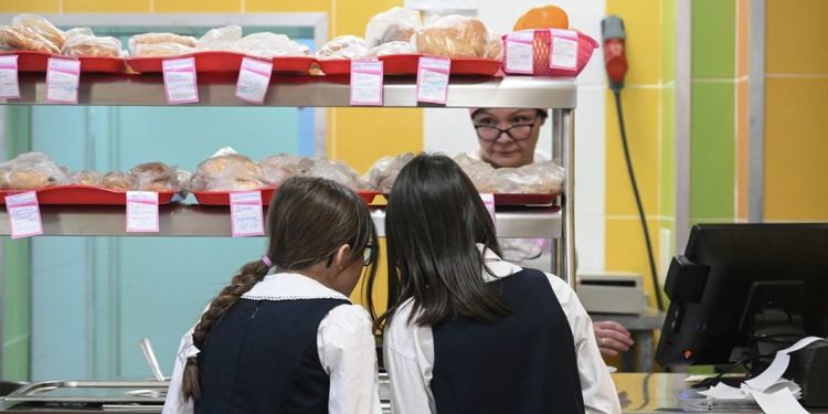 Общественники предложили проводить в школах «Разговоры о здоровом питании»