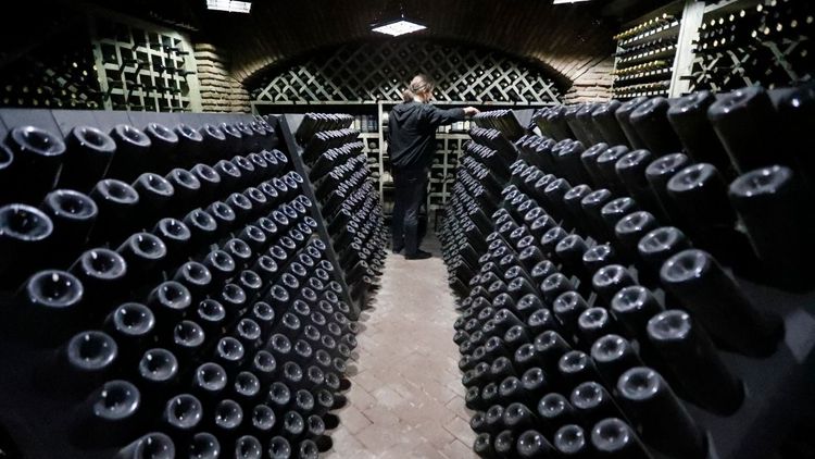 Роспотребнадзор запретил ввоз грузинского вина, пива, «Набеглави» и местной Coca-Cola