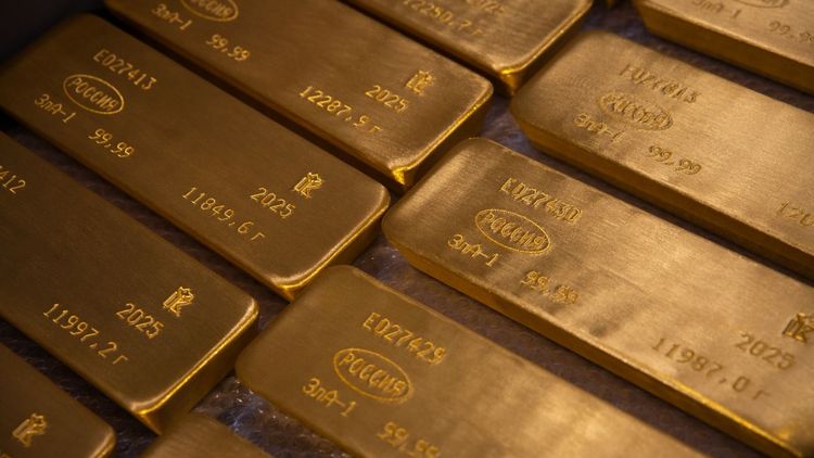 Россия продает золотой запас с максимальной за 30 лет скоростью: с чем это связано