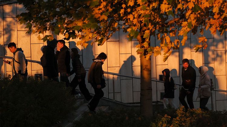 «Эффектный финал золотой осени» пообещали Москве и Подмосковью