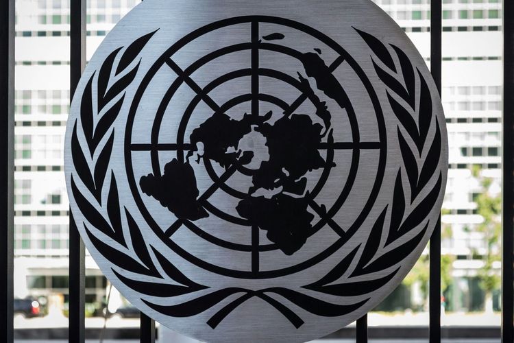 Латынина* назвала ООН бесполезной организацией