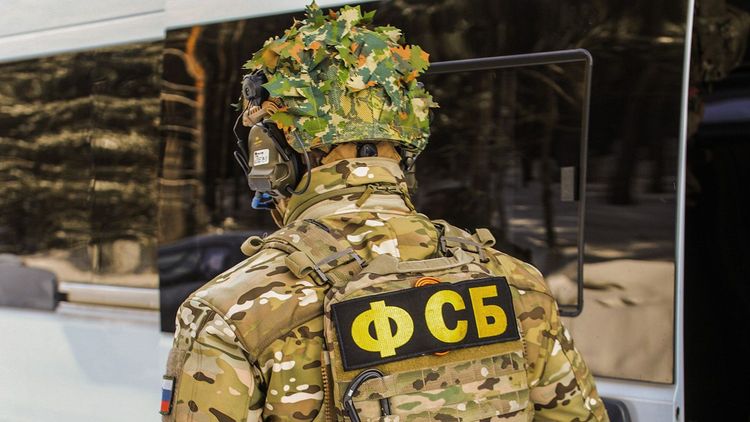 ФСБ заявила о задержании гражданина Швеции в Псковской области