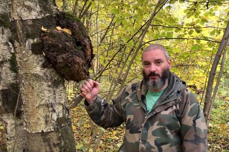 "Доброкачественное шарлатанство": онколог раскритиковал миколога Вишневского за рекламу чаги как средства от рака