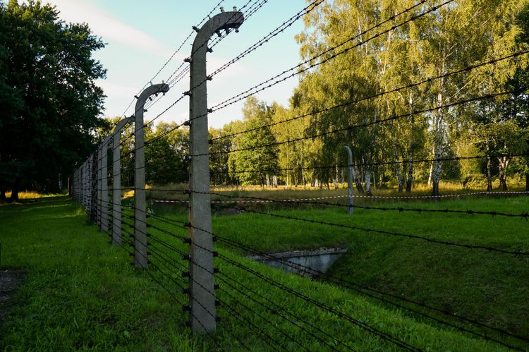 Латвия заявила о проникновении вооруженных людей со стороны Беларуси: эскалация напряженности  на границе продолжается