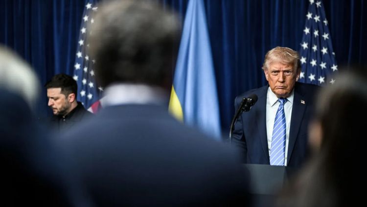 В Госдуме спрогнозировали, до чего может довести отвращение Трампа к Зеленскому