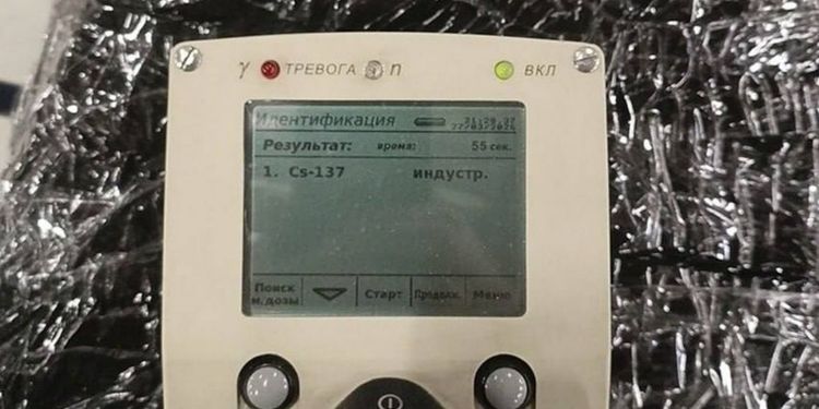 В Домодедово у иностранца изъяли коробку с сушеными радиоактивными грибами
