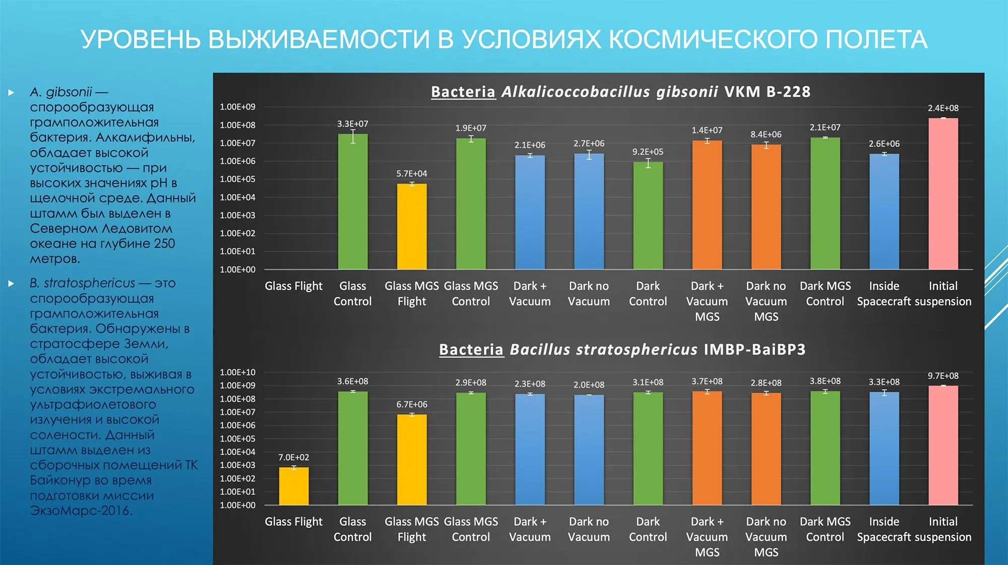 слайд10.jpg