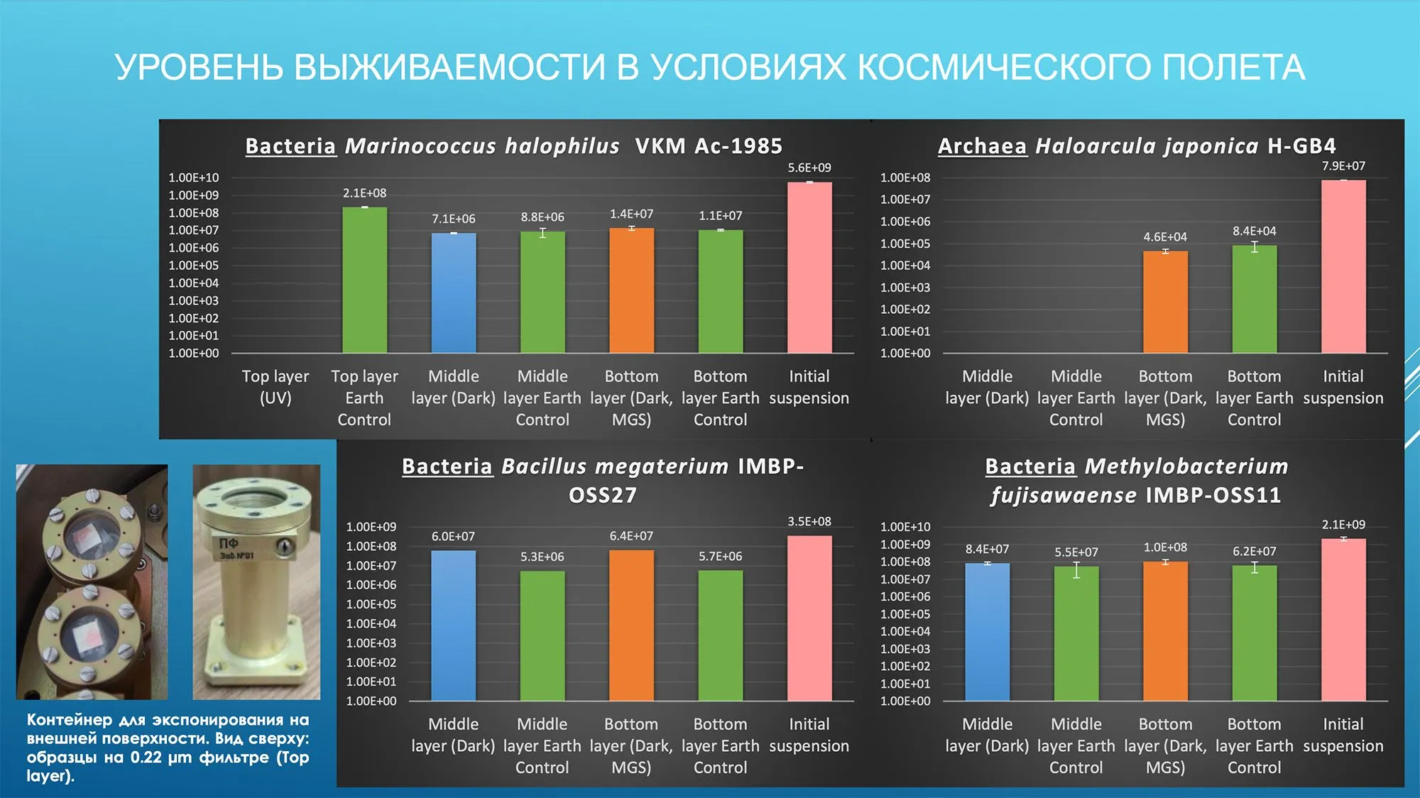 слайд12.jpg
