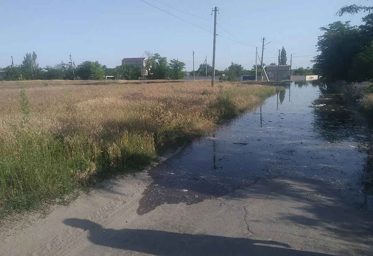 TASS_59648769